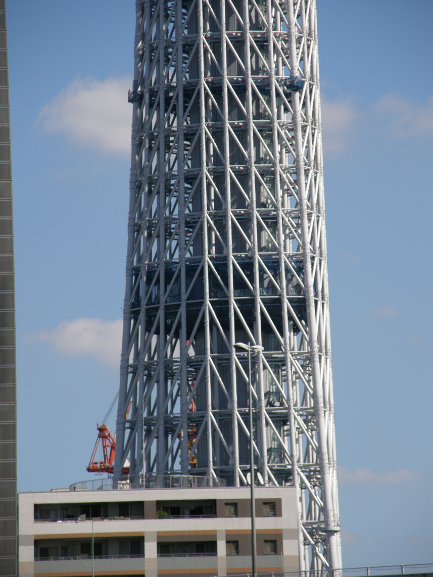 PA117774.jpg