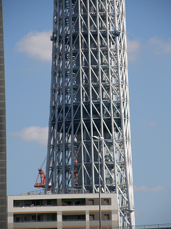 PA117774_thumb.png