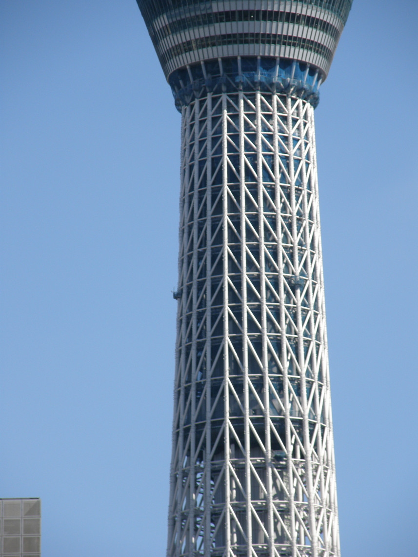 PA117775.jpg