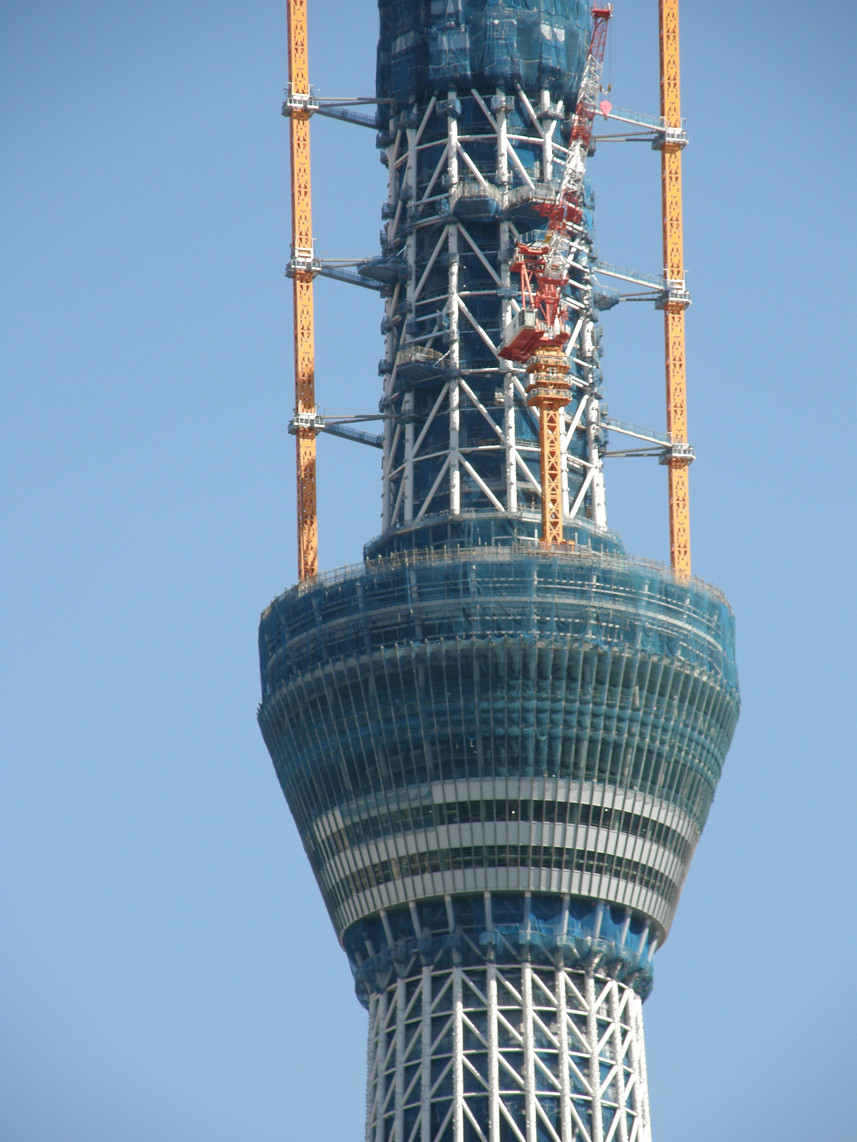 PA117776.jpg