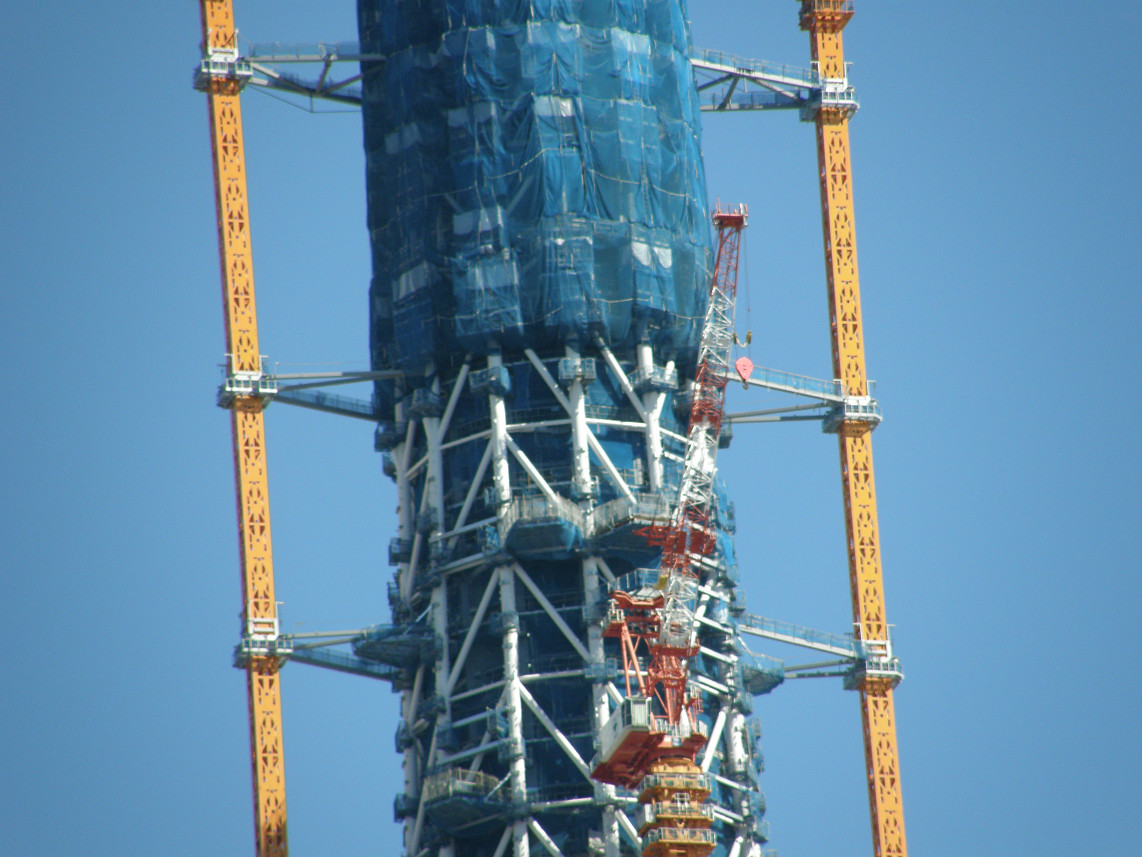 PA117780.jpg