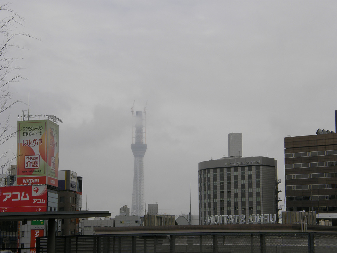 PA317834.jpg