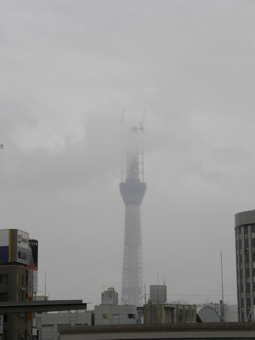 PA317835.jpg
