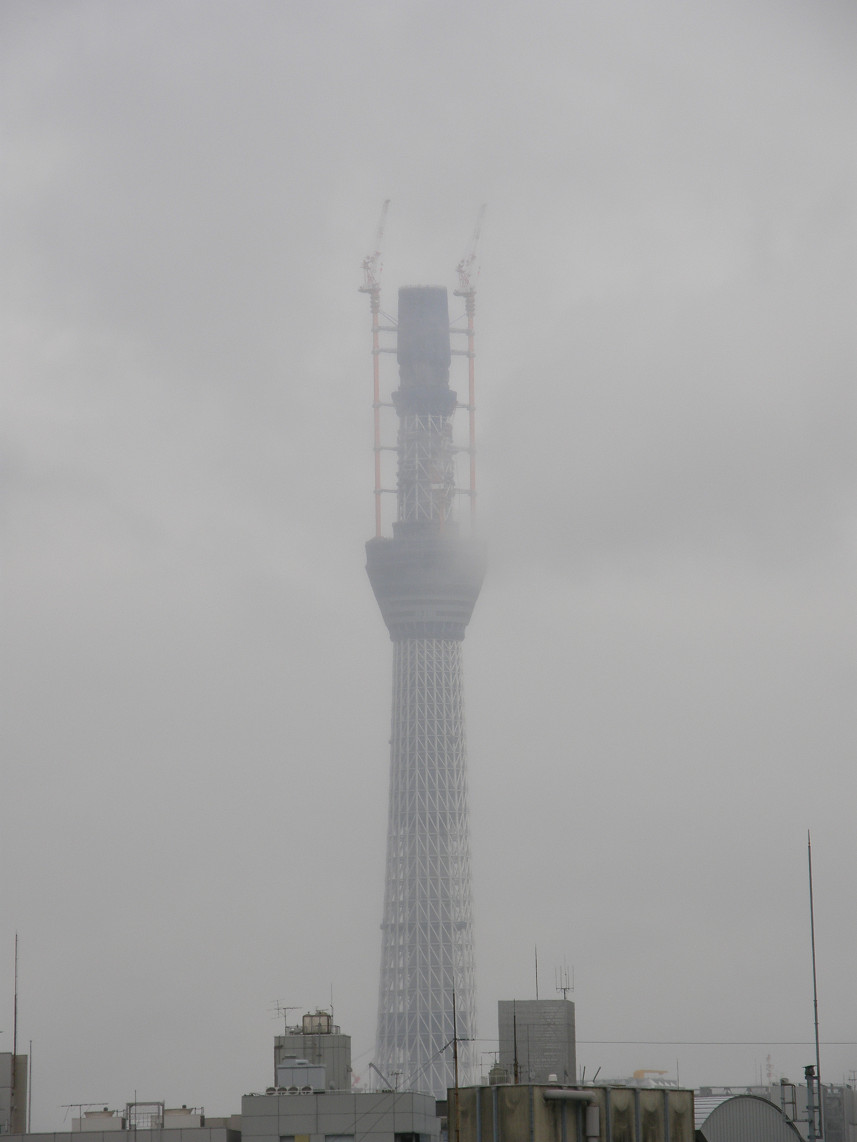 PA317839.jpg