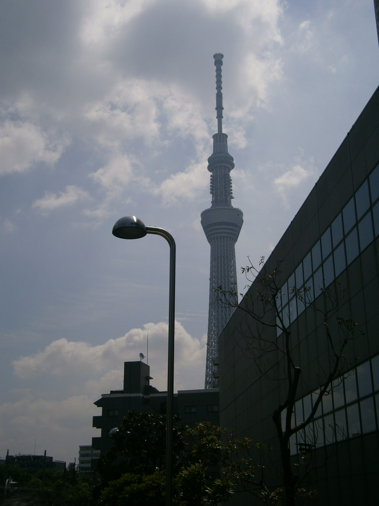 P5260612.jpg