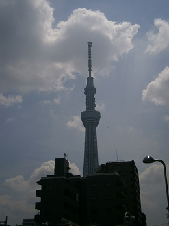 P5260613_thumb.png
