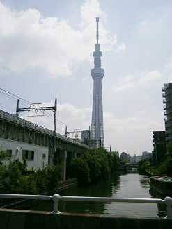 P5260620_thumb.png