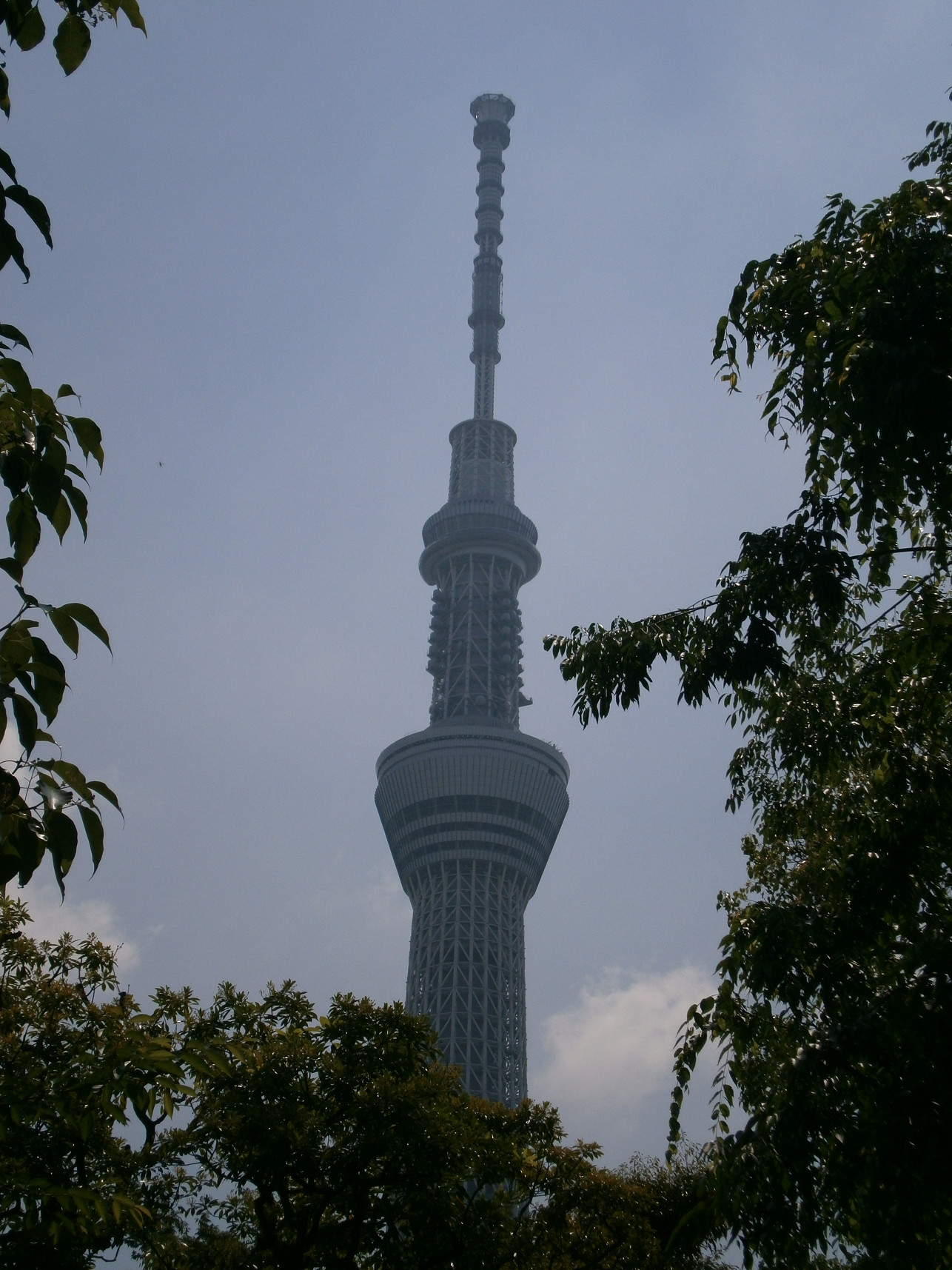 P5260624.jpg