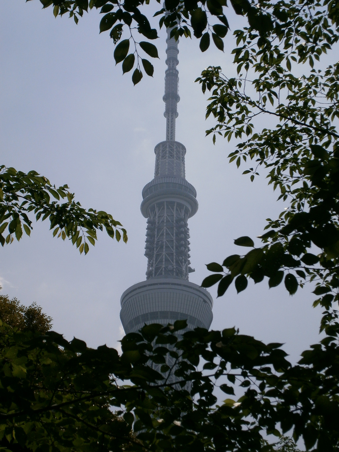 P5260627.jpg