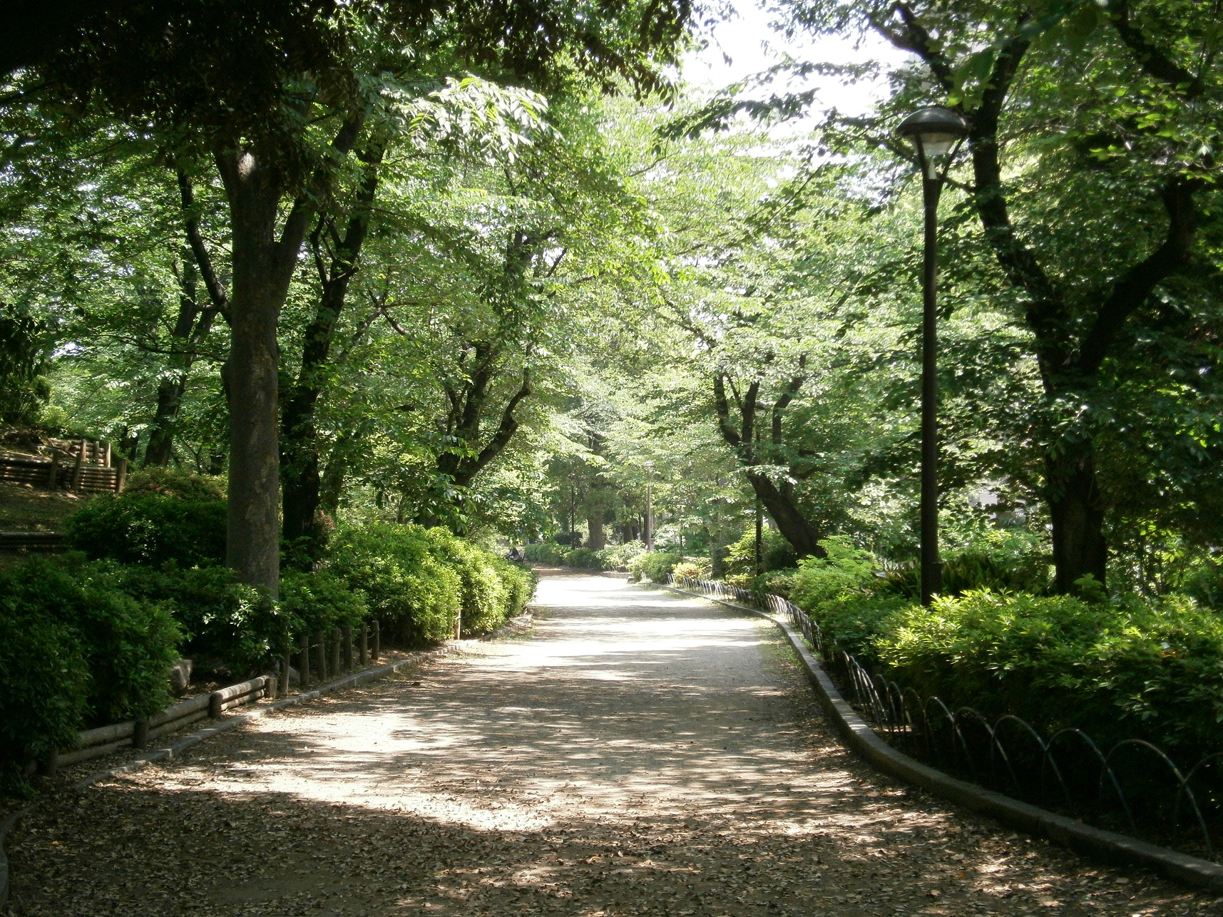 P5260628.jpg