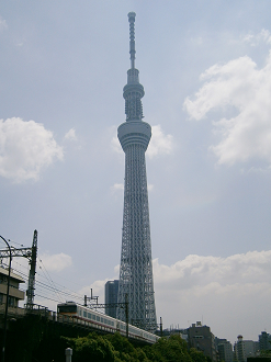 P5260631_thumb.png