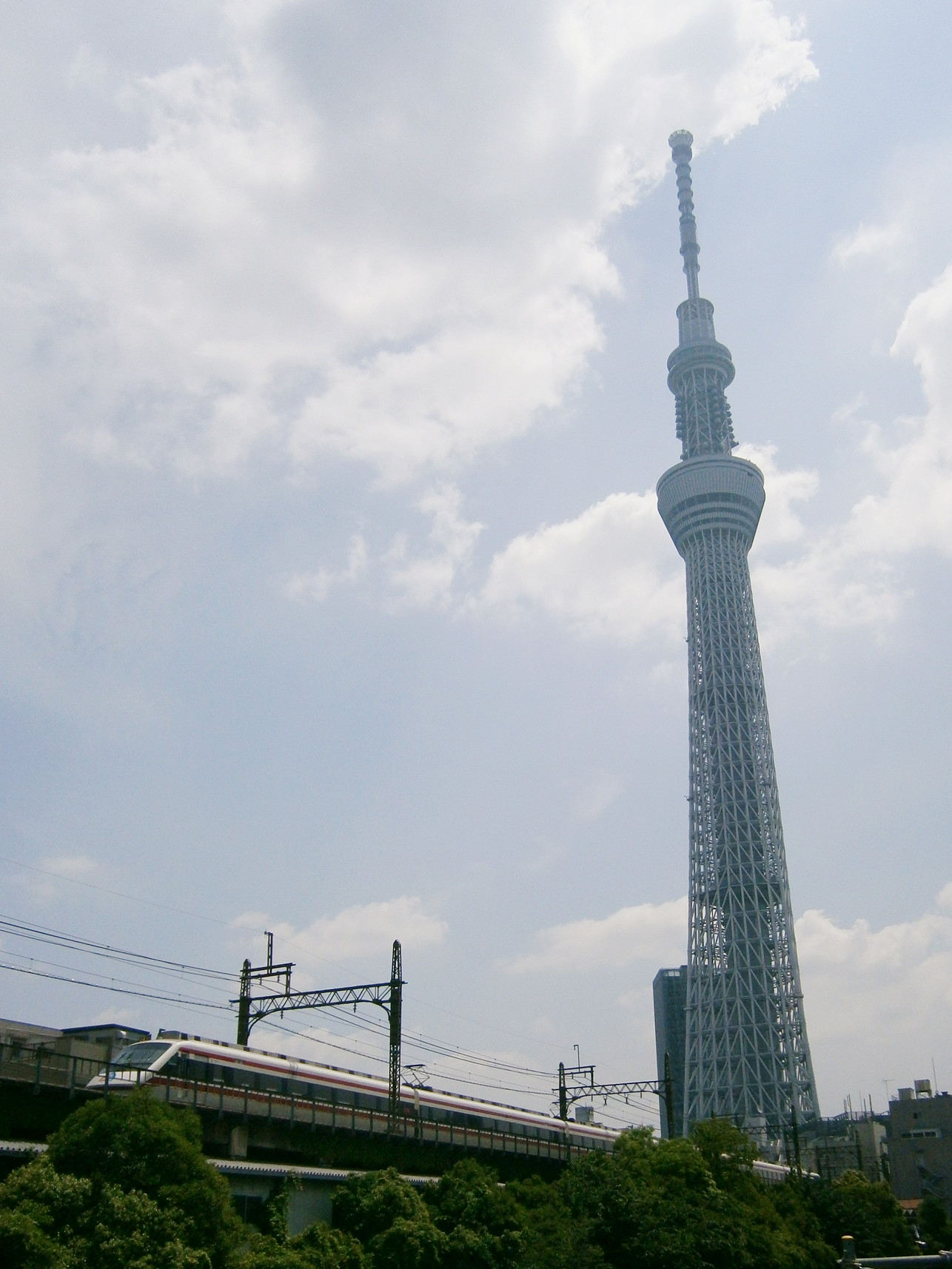 P5260635.jpg