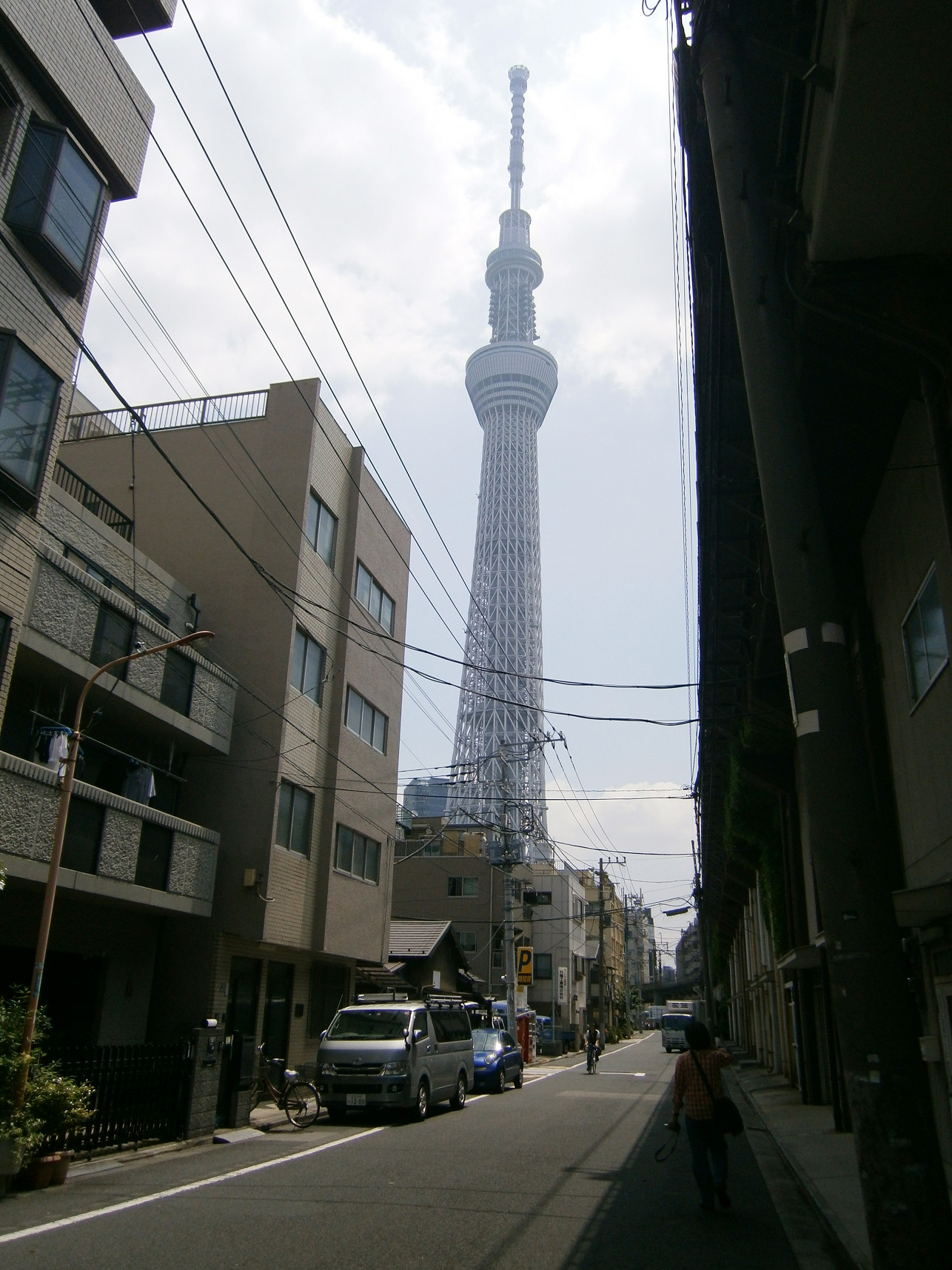 P5260639.jpg