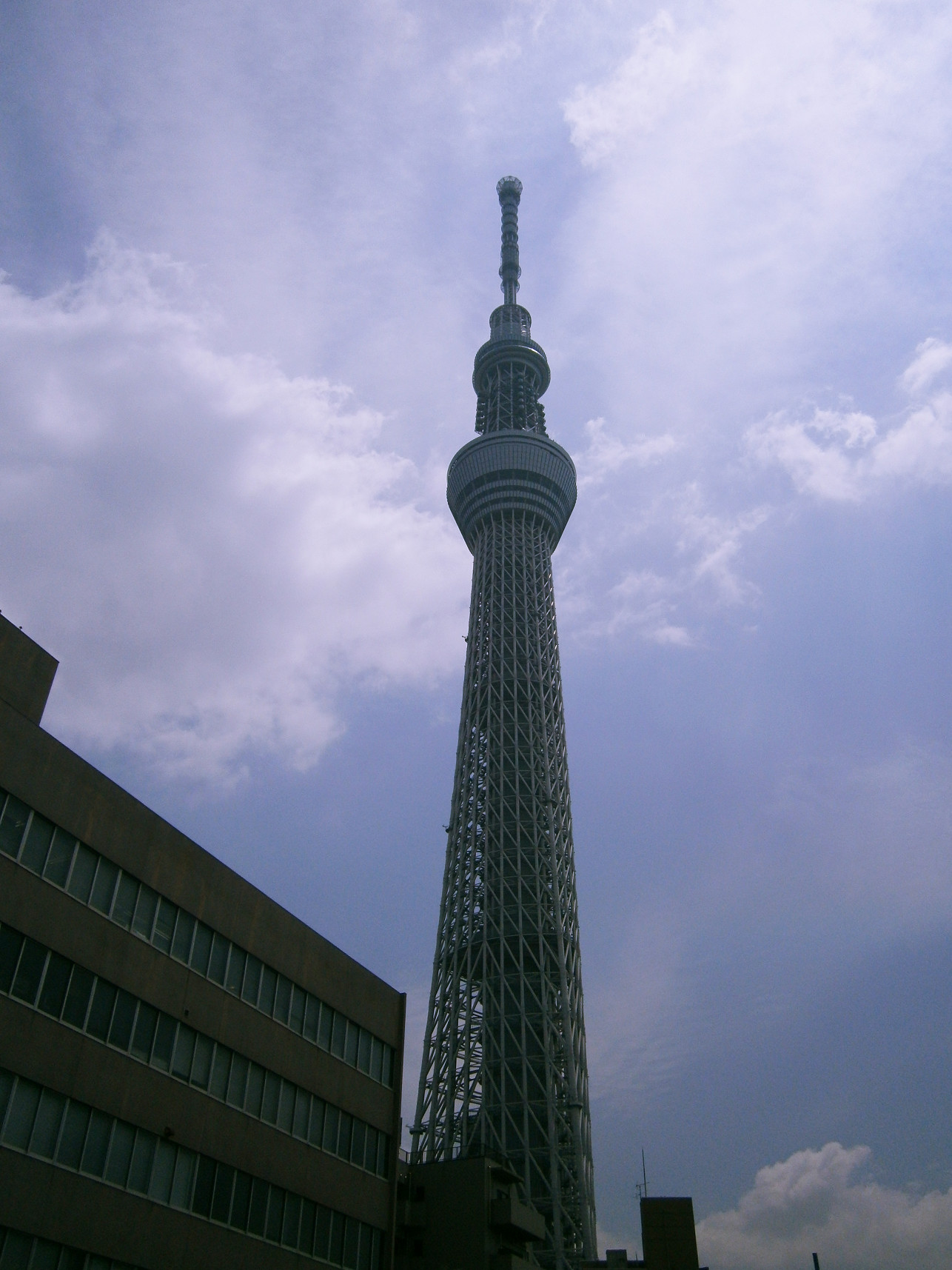 P5260642.jpg