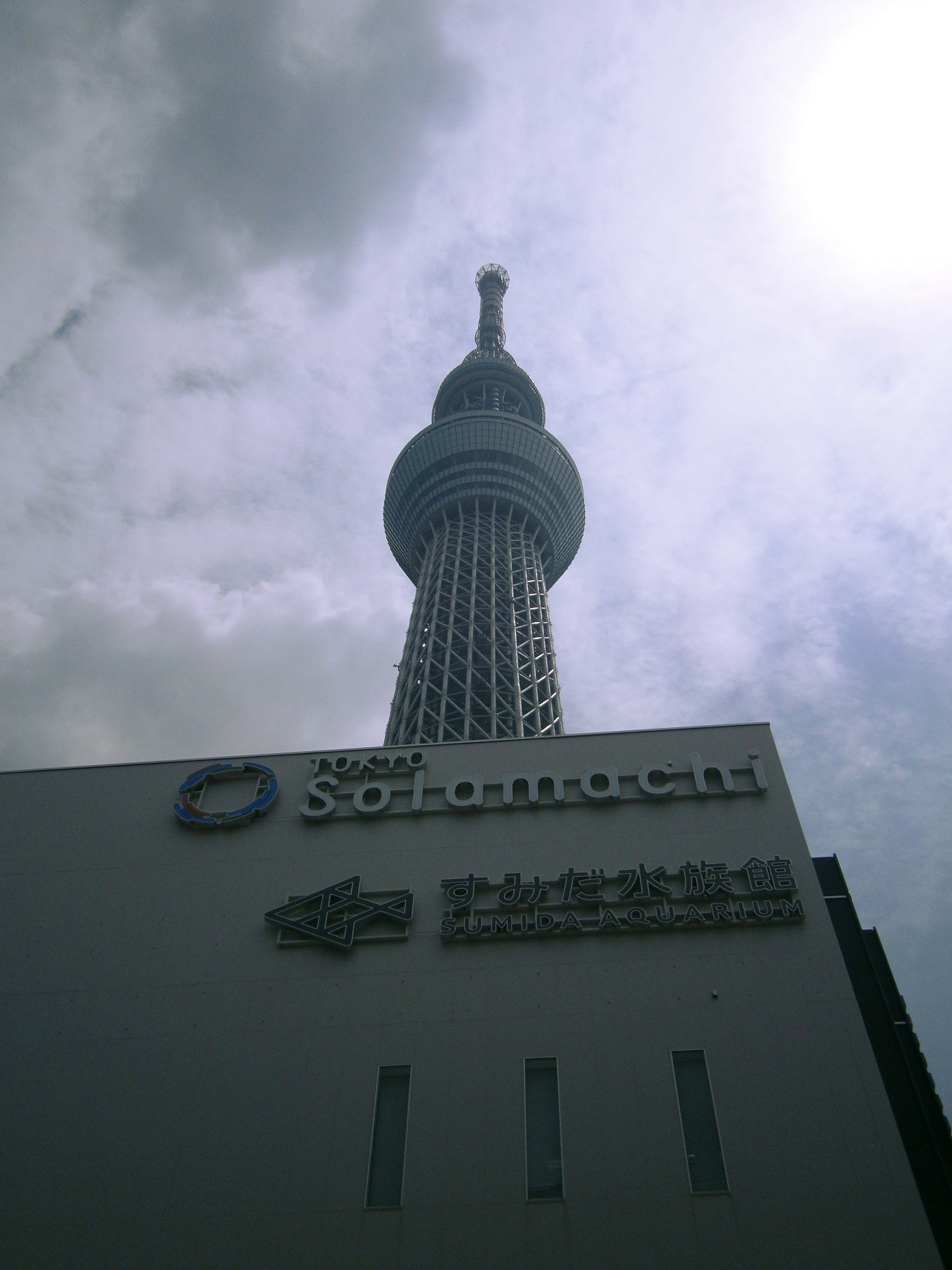 P5260645.jpg