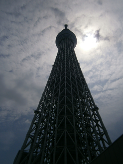 P5260647_thumb.png