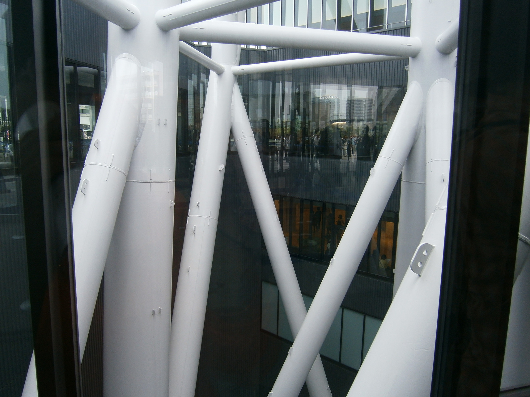 P5260660.jpg