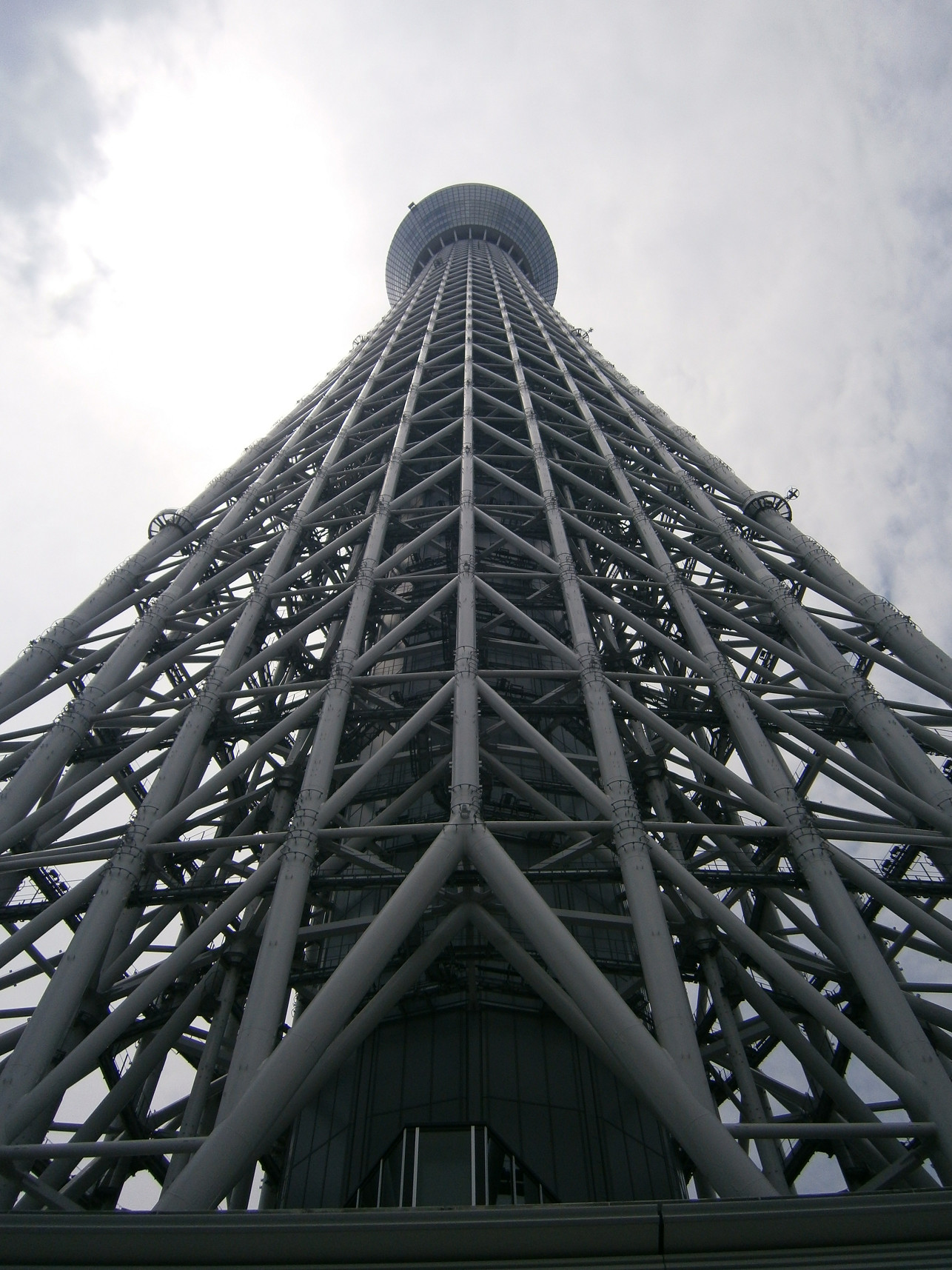 P5260667.jpg