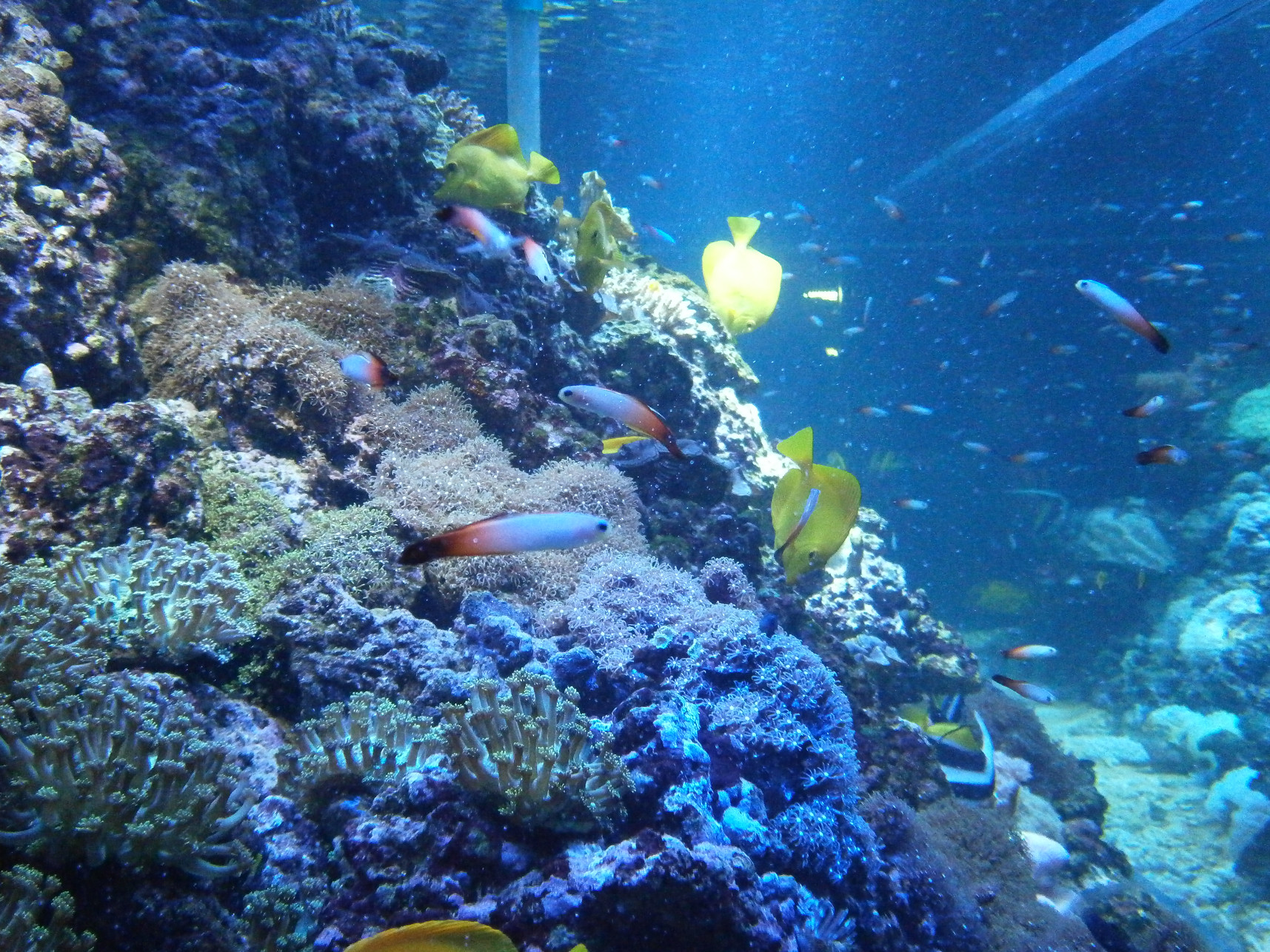 P5260765.jpg
