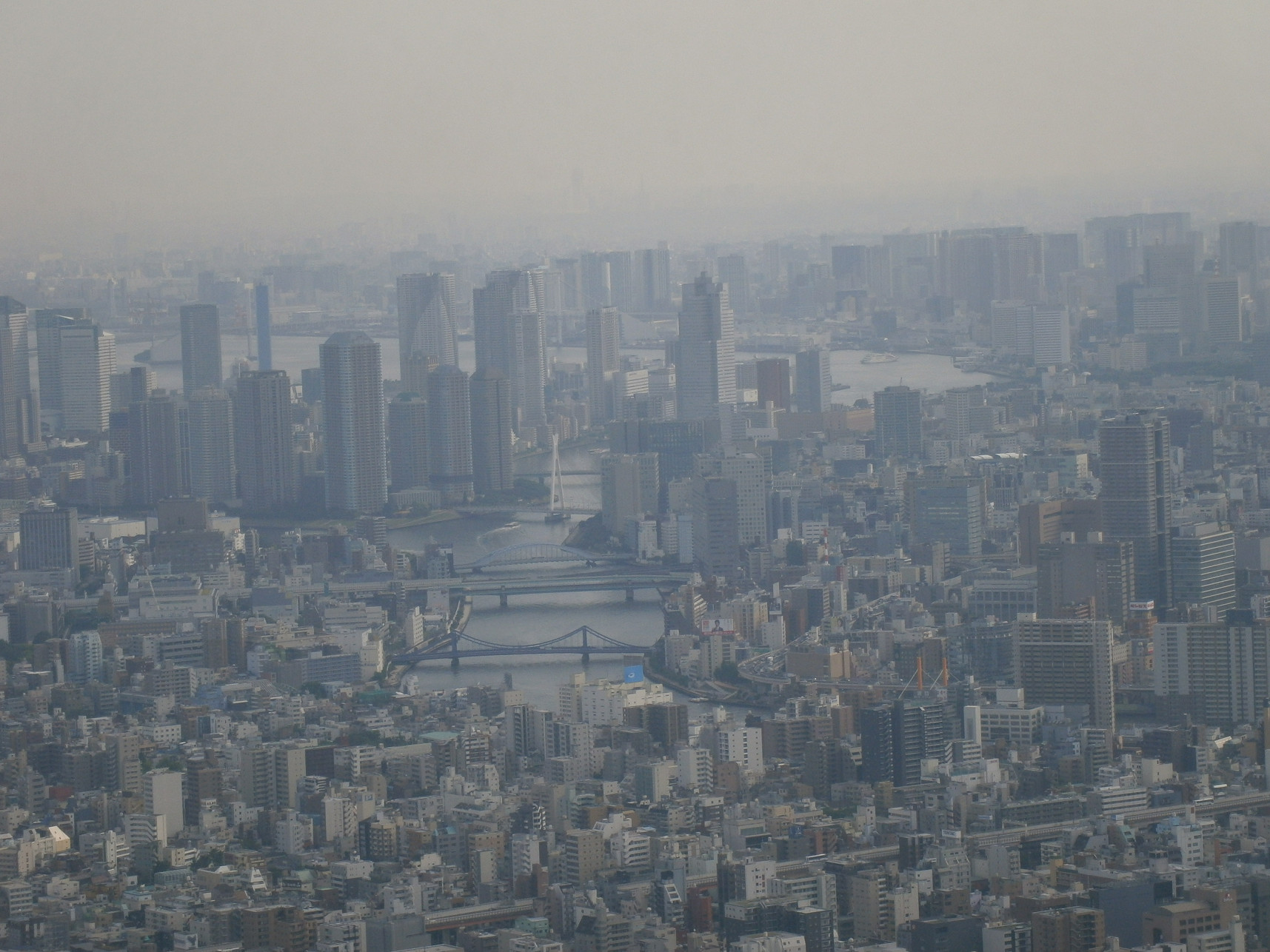 P5260844.jpg
