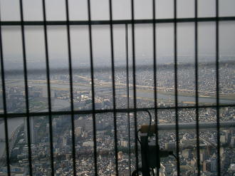 P5260847_thumb.png
