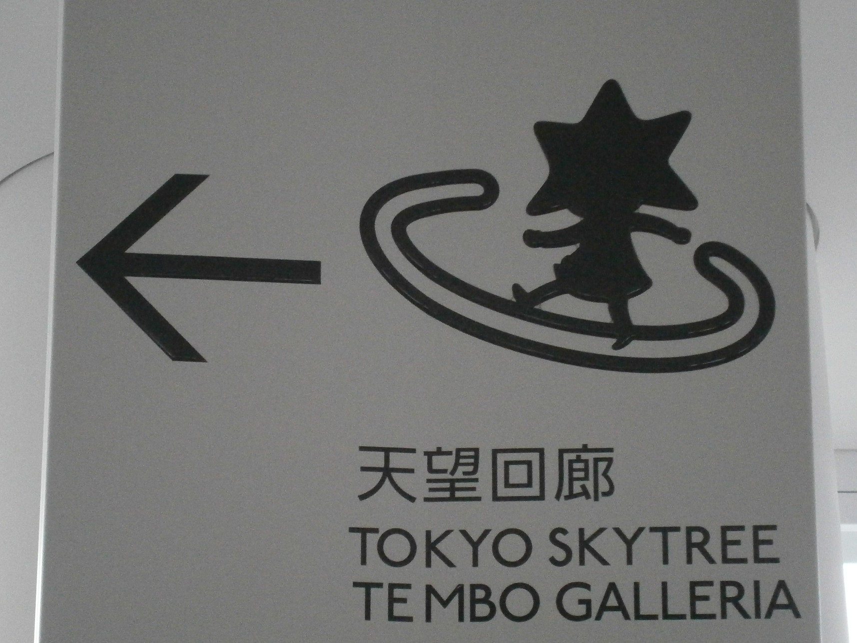 P5260849.jpg