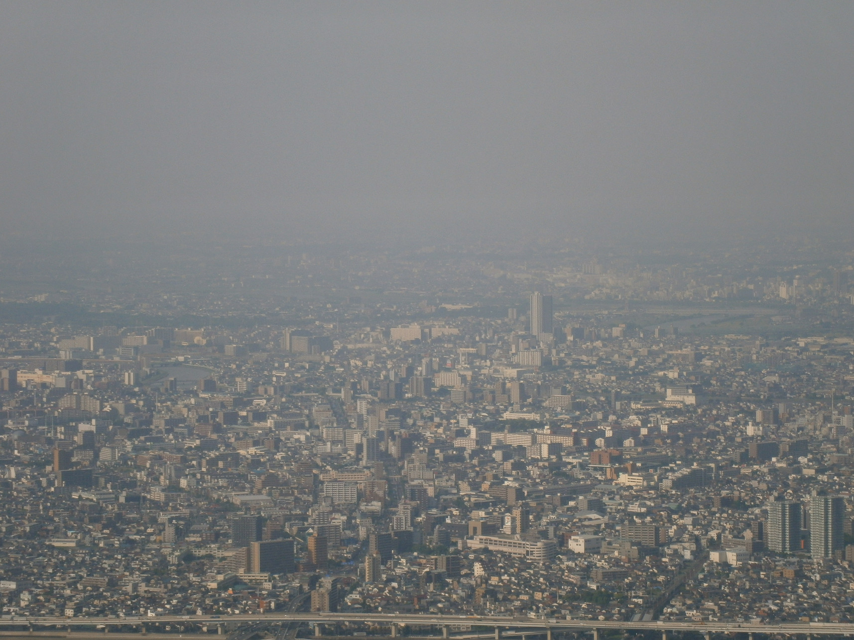 P5260857.jpg