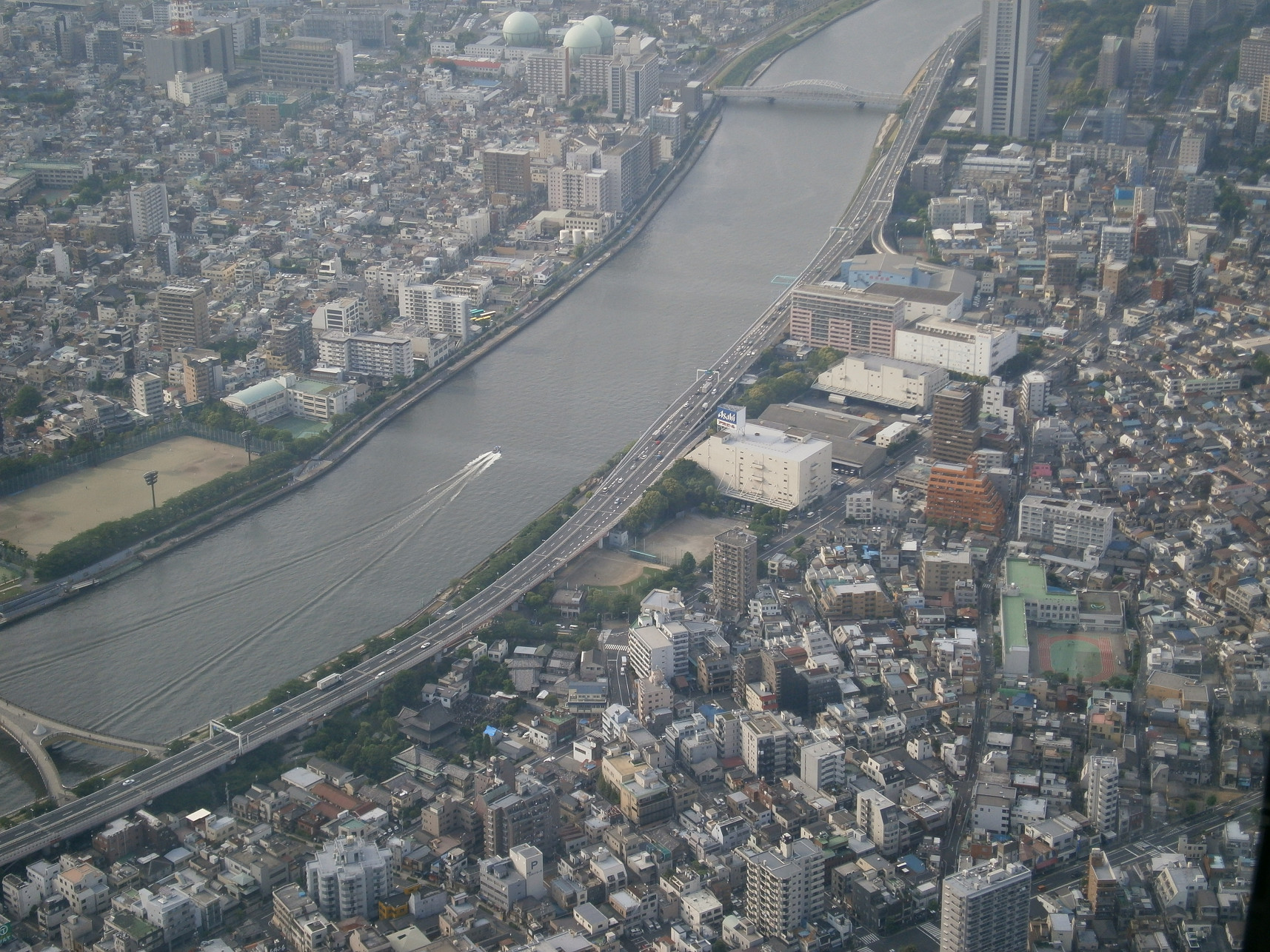 P5260858.jpg