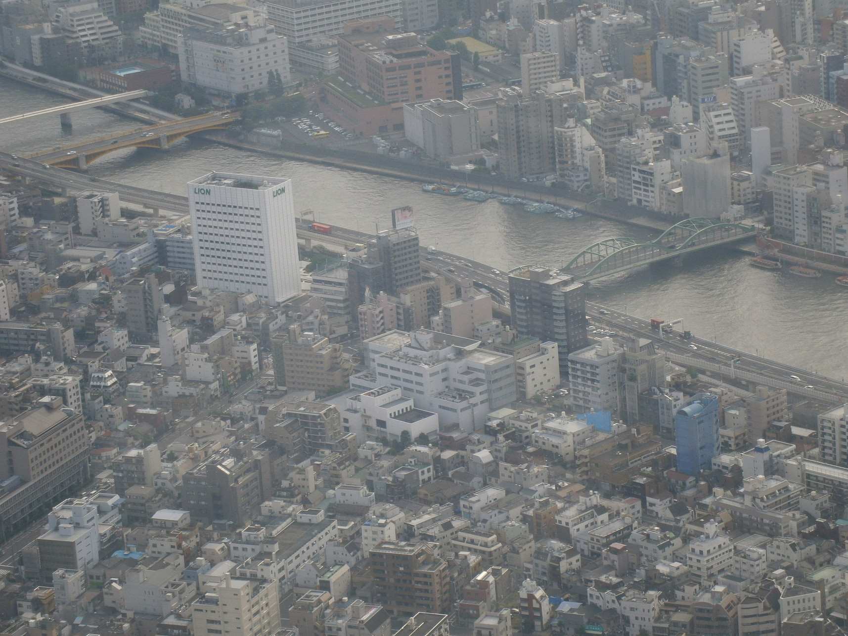 P5260866.jpg
