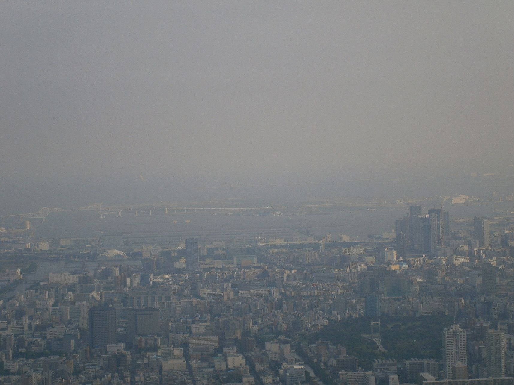 P5260875.jpg