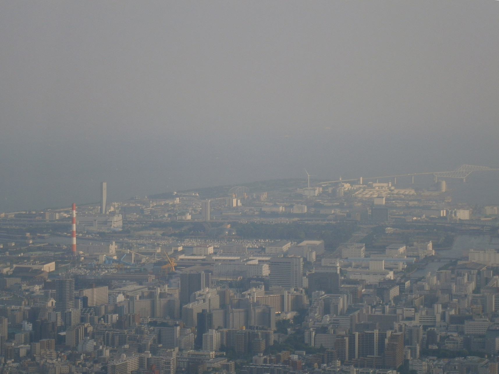 P5260876.jpg