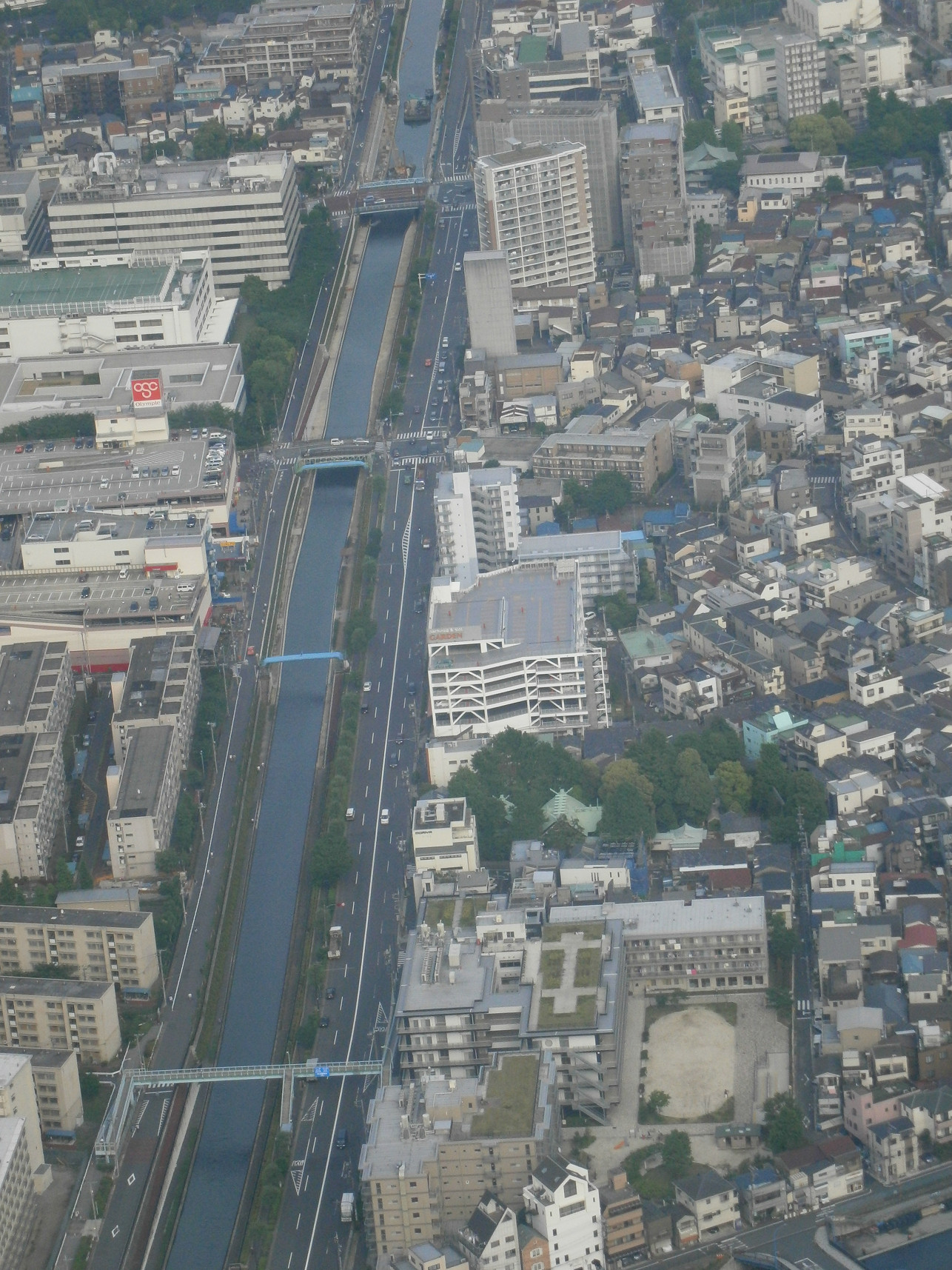 P5260878.jpg