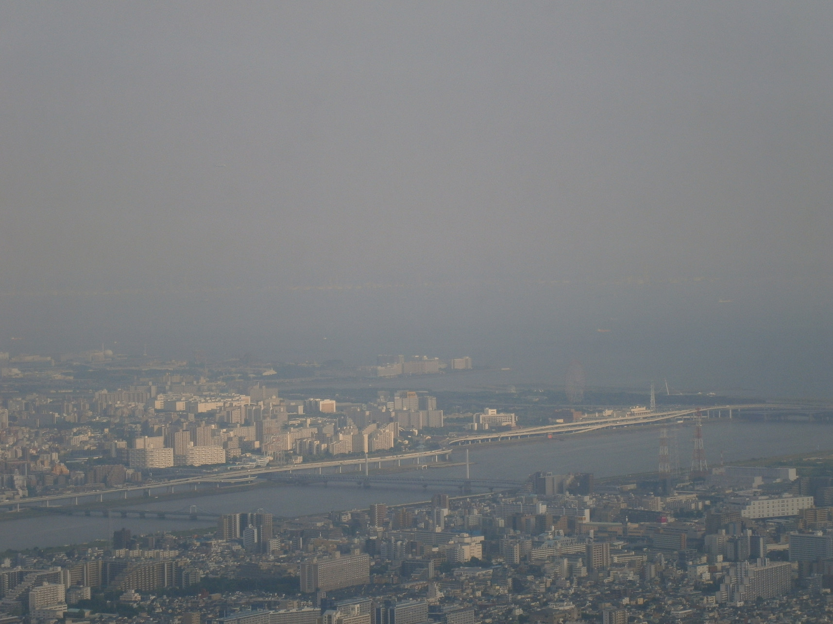 P5260879.jpg