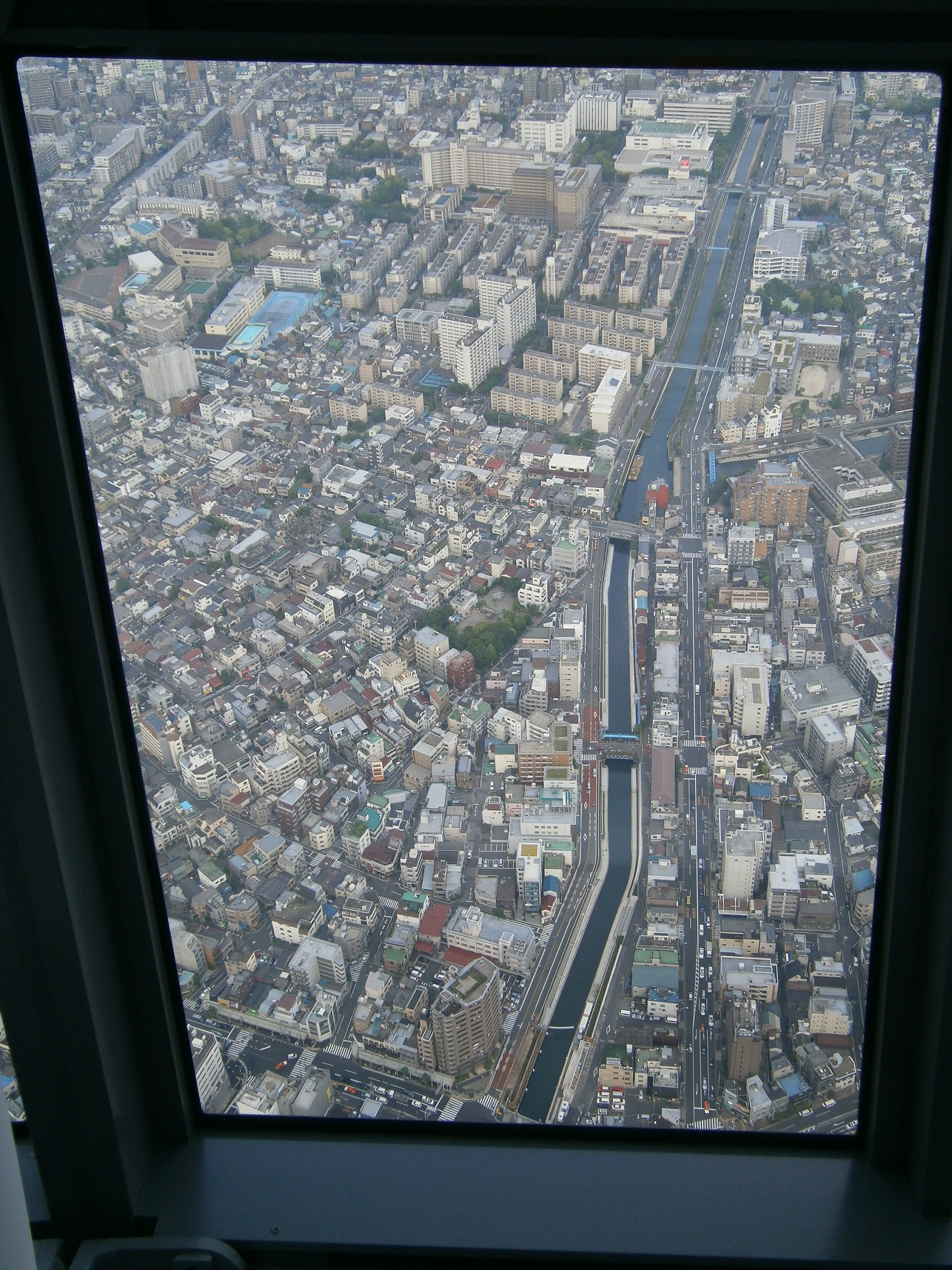 P5260884.jpg