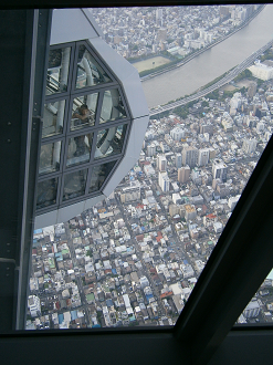 P5260886_thumb.png