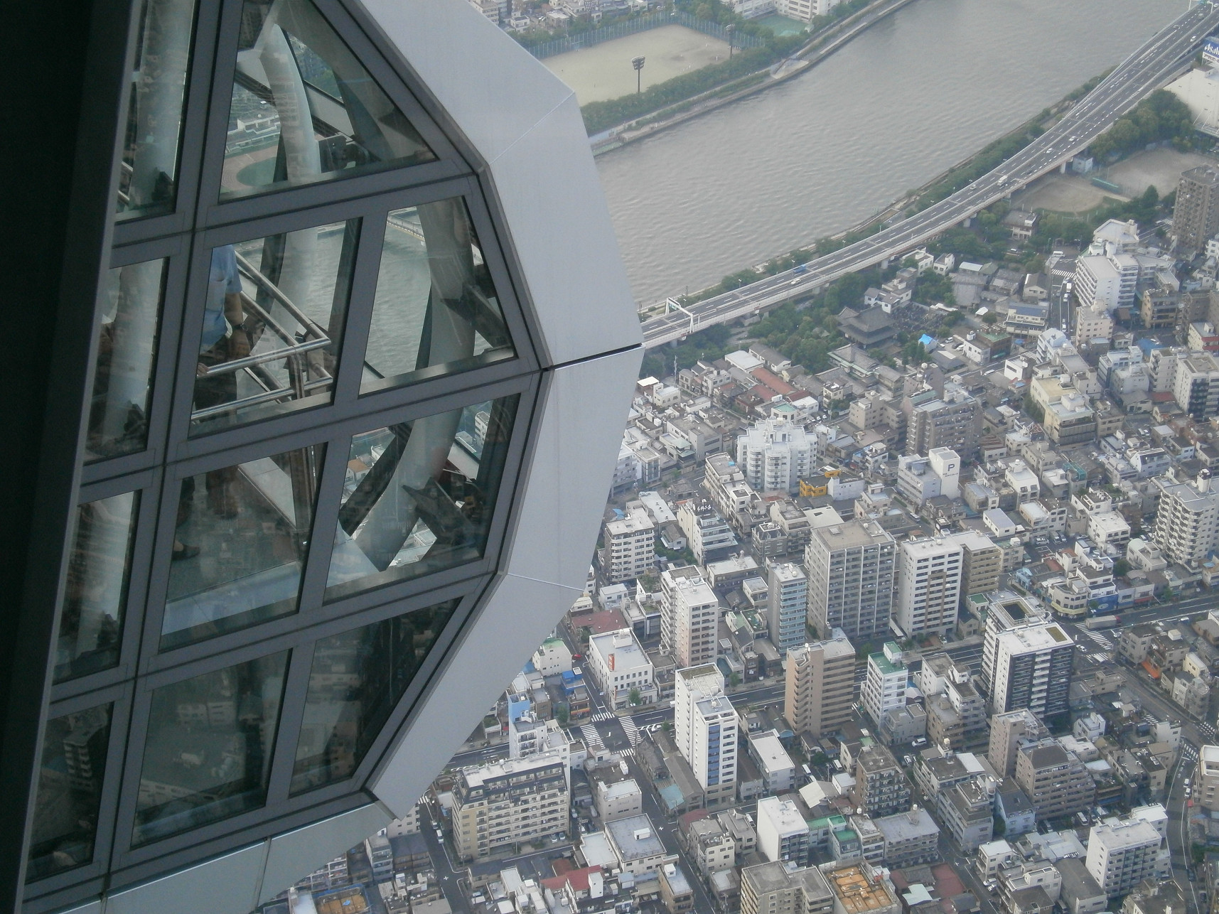 P5260888.jpg