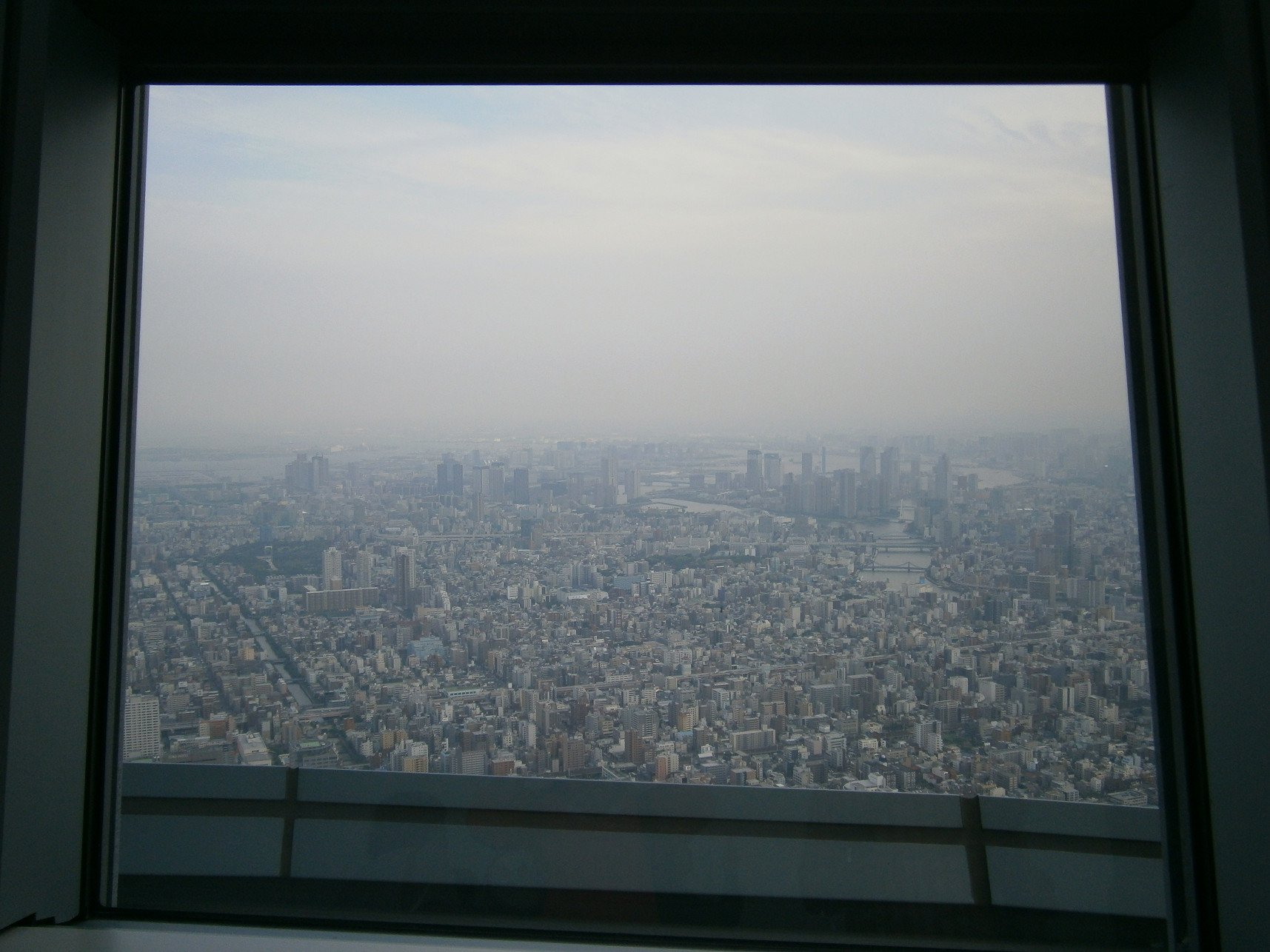 P5260895.jpg