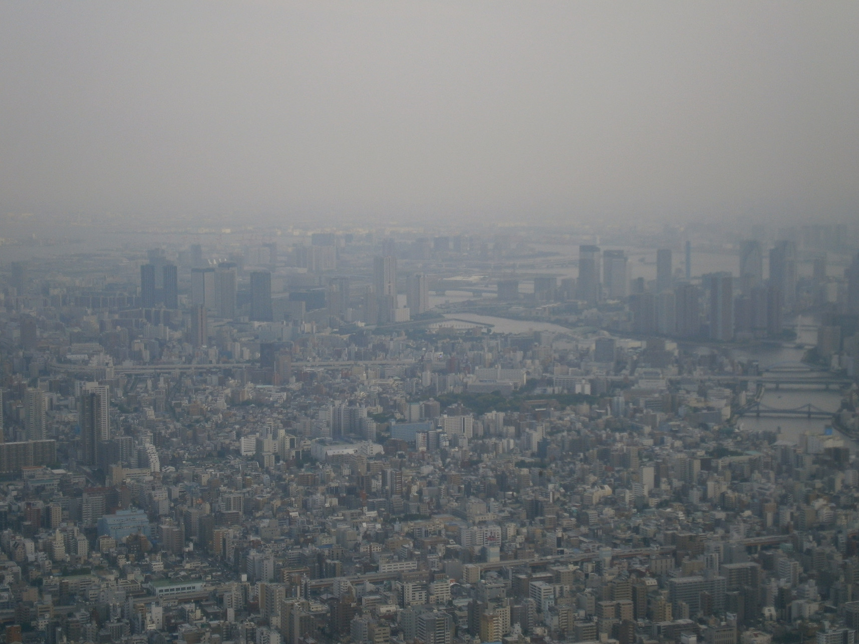 P5260896.jpg