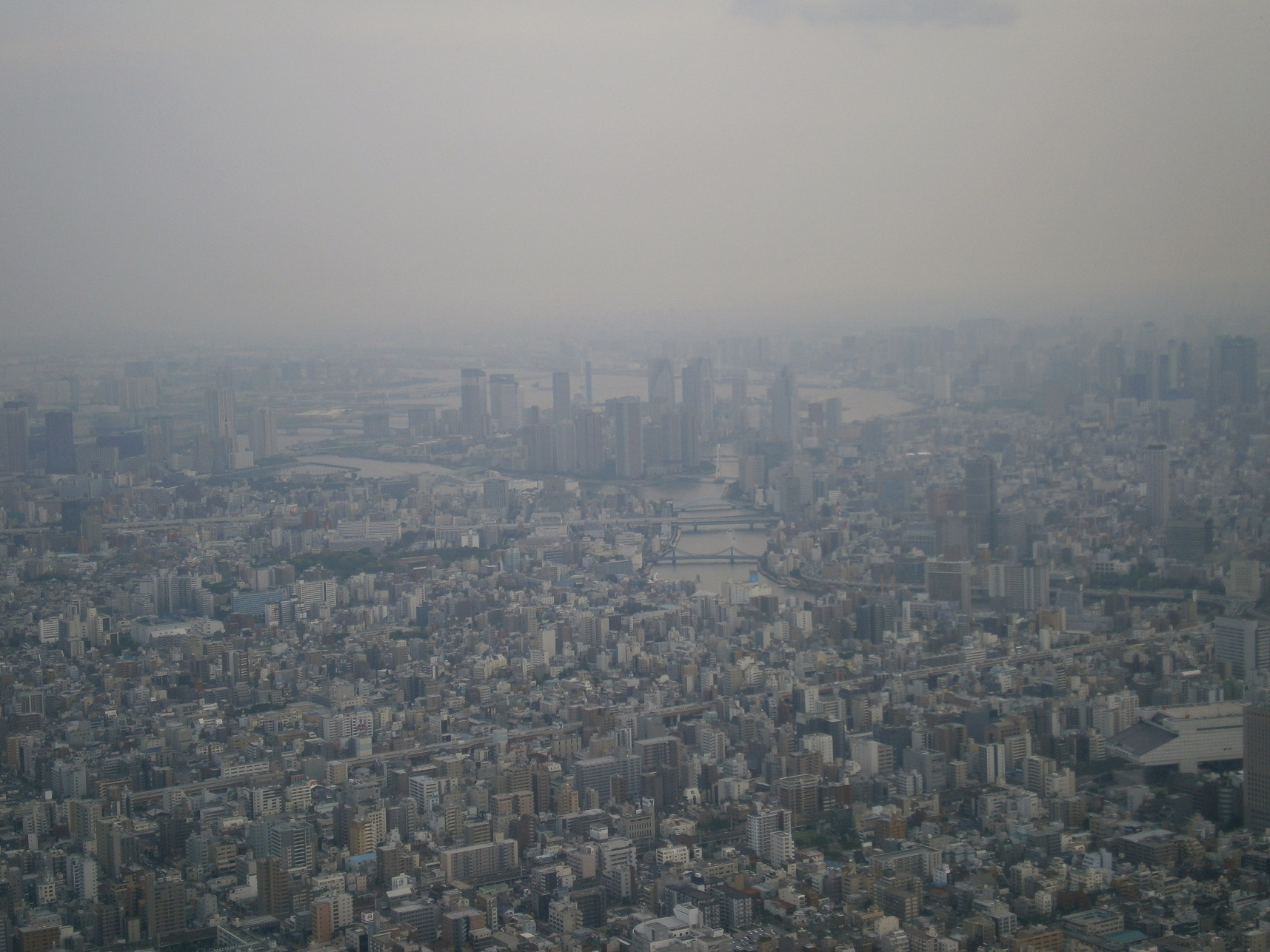 P5260899.jpg