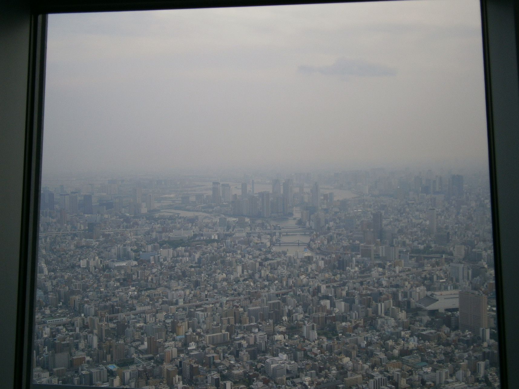 P5260900.jpg