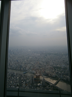 P5260915_thumb.png