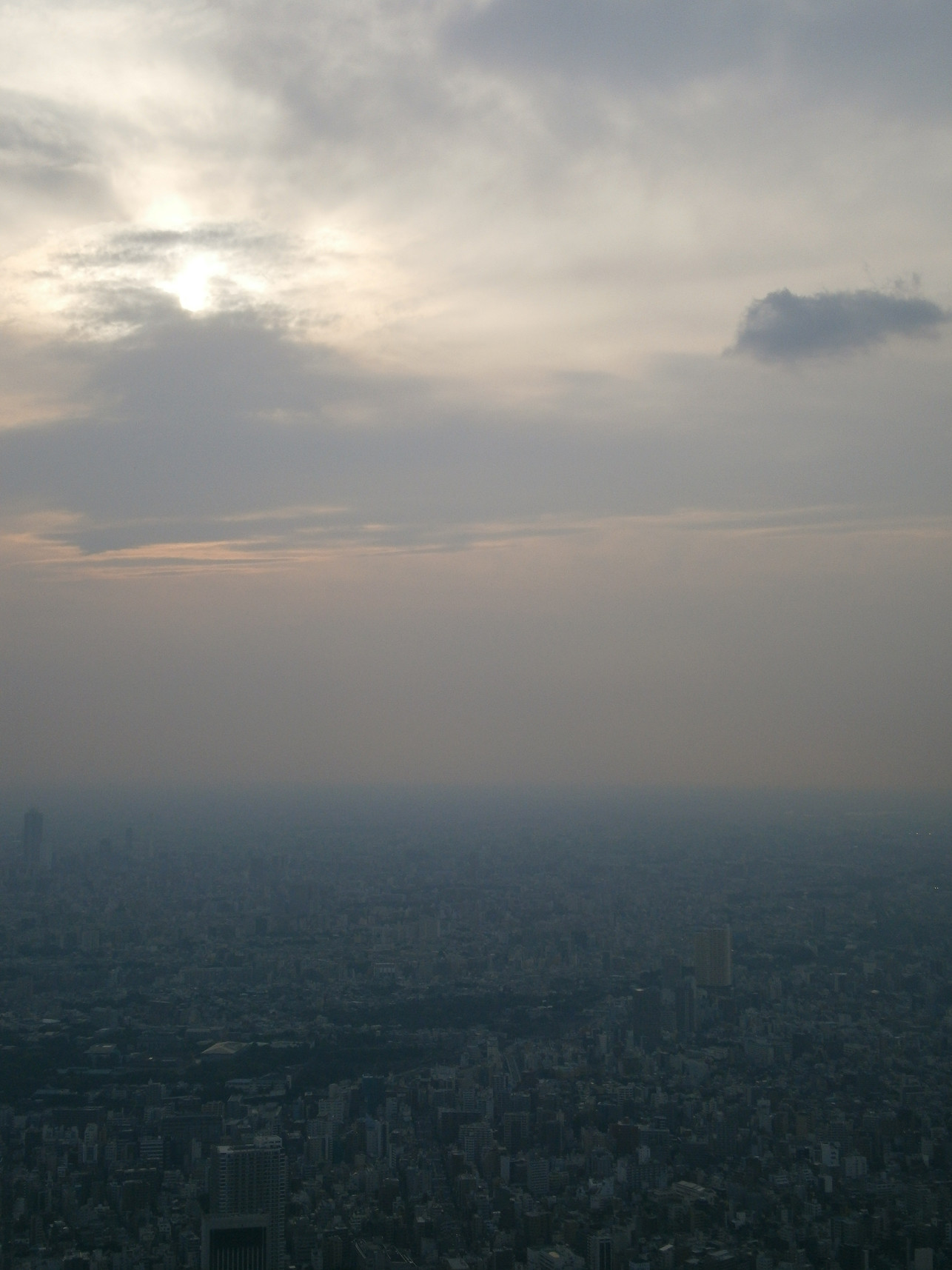 P5260932.jpg
