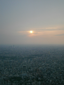 P5260938_thumb.png