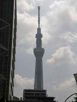 P5260650_thumb.png