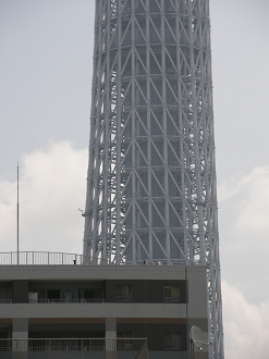 P5260662_thumb.png
