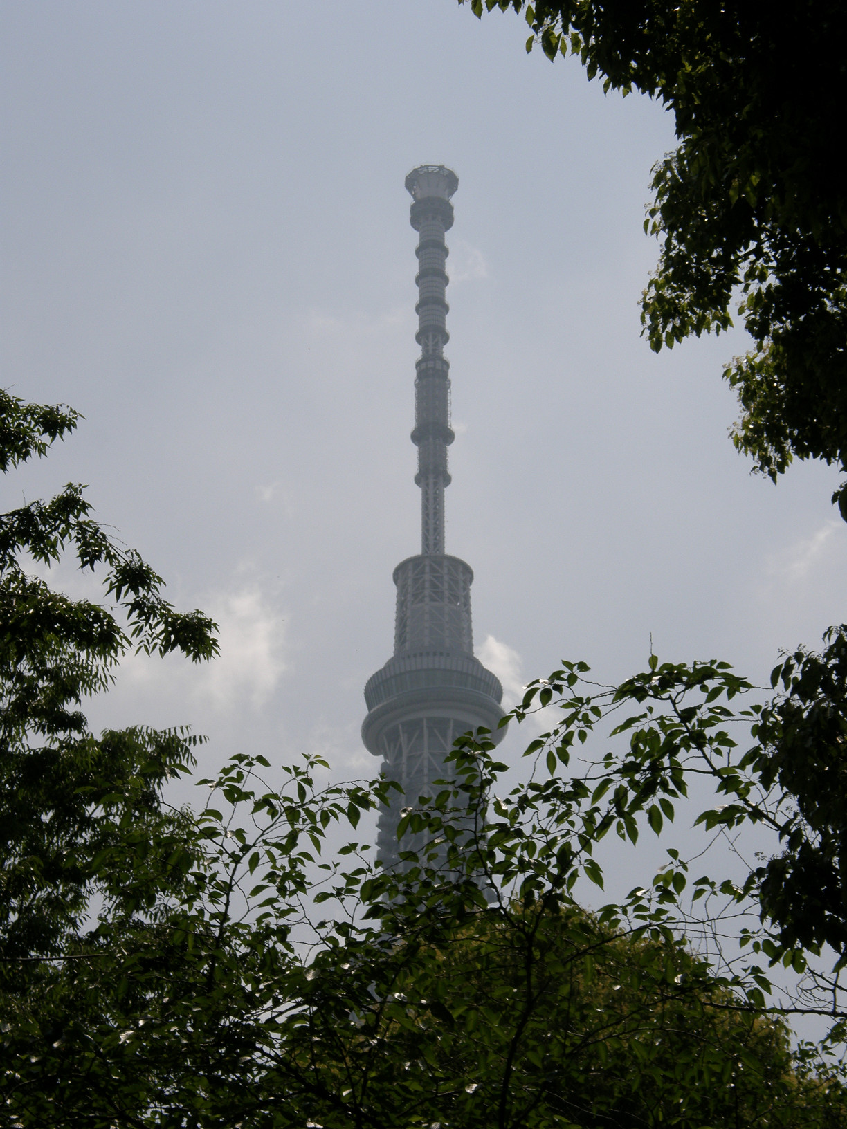 P5260691.jpg