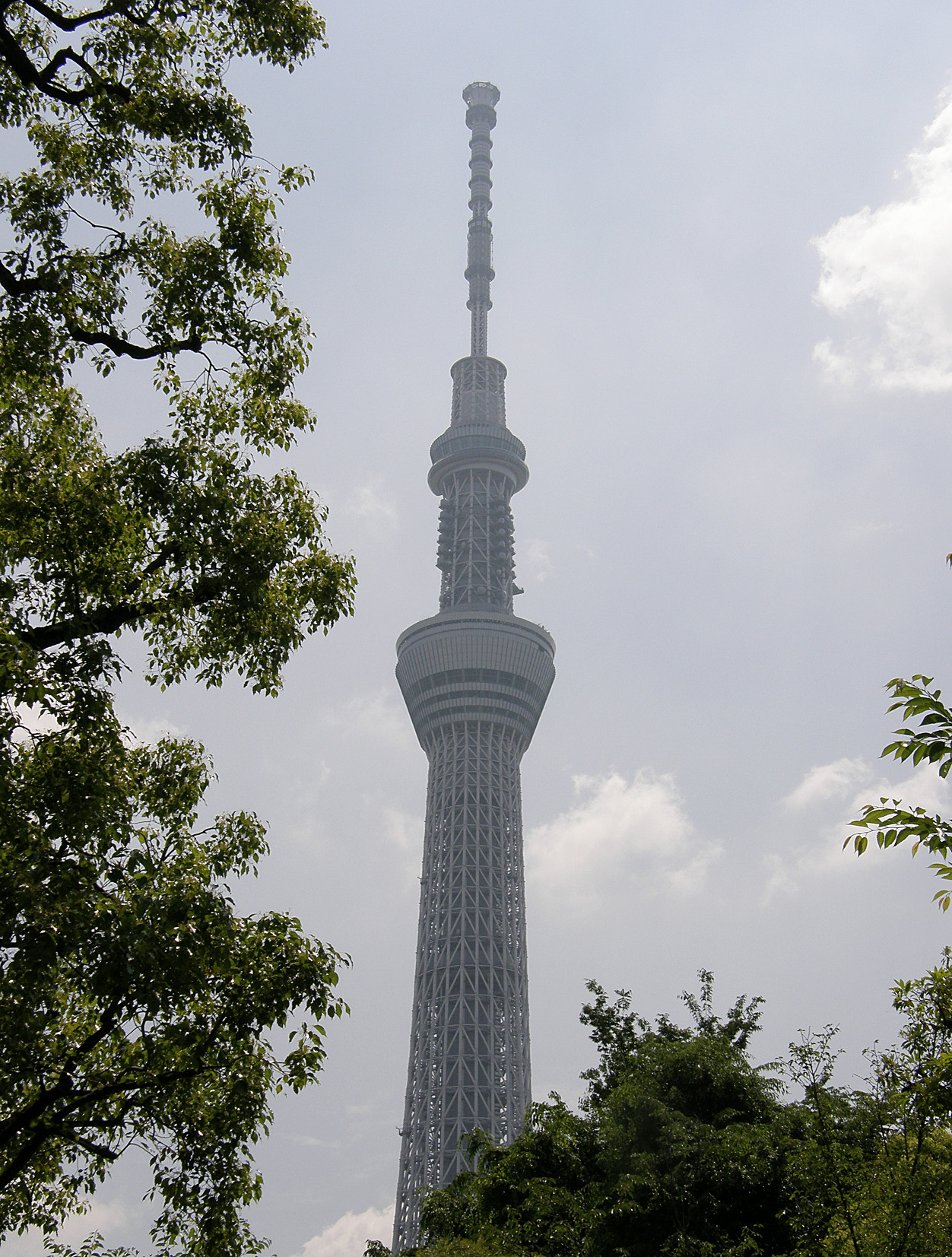 P5260692.jpg