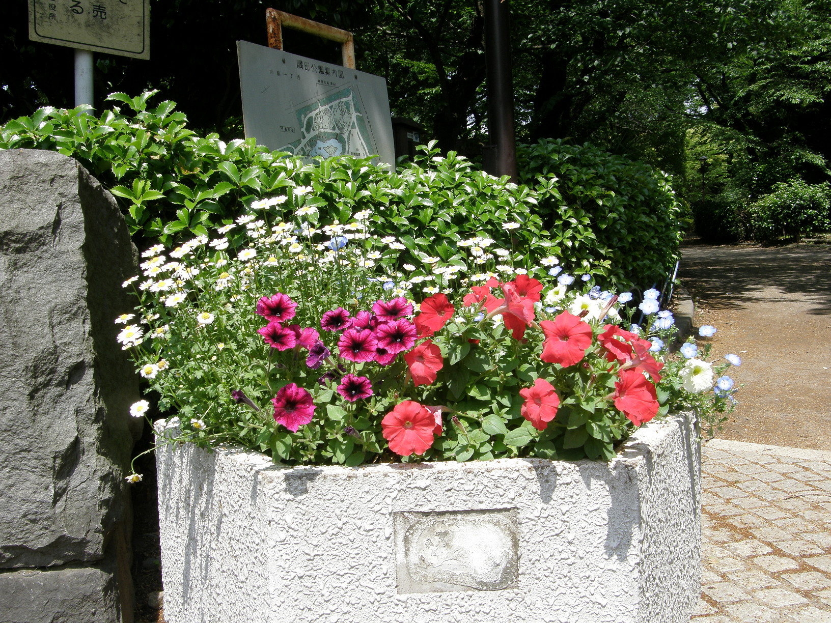 P5260703.jpg