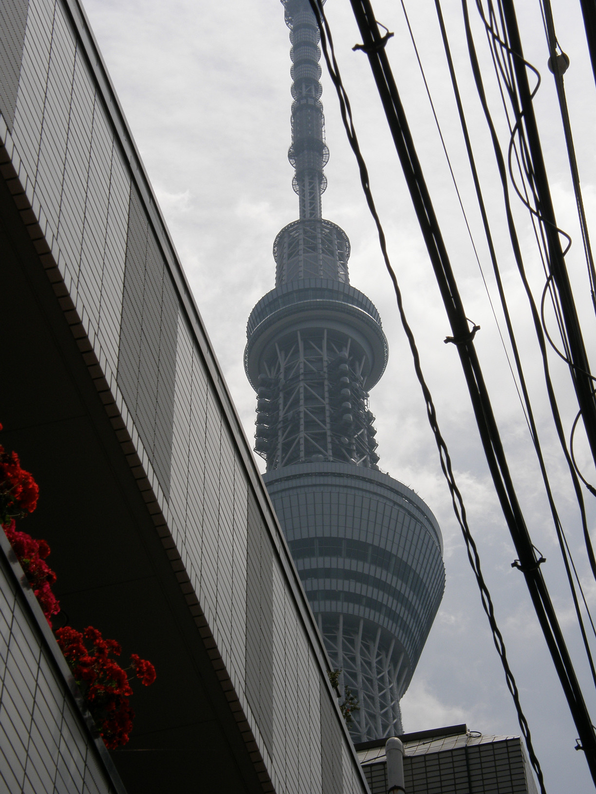 P5260728.jpg