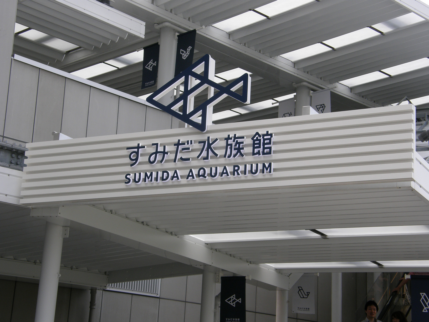 P5260741.jpg
